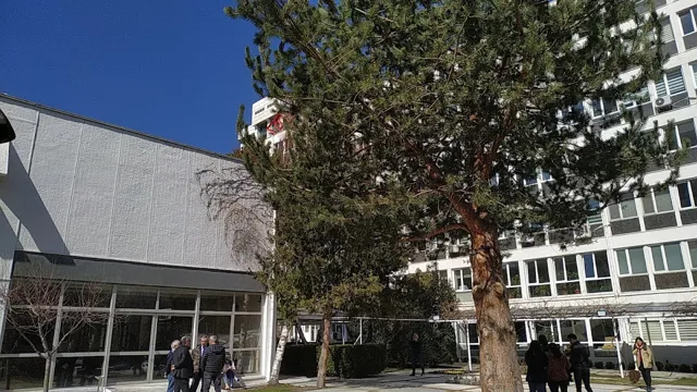 T.S.E. Türk Standartları Enstitüsü
