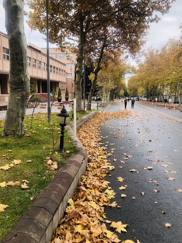Eski Başbakanlık Binası