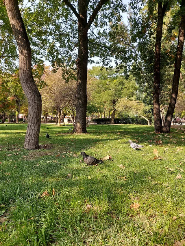 Kurtuluş Parkı
