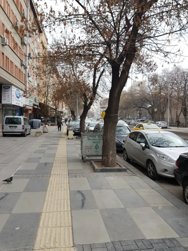 Aras Kargo Necatibey Şubesi