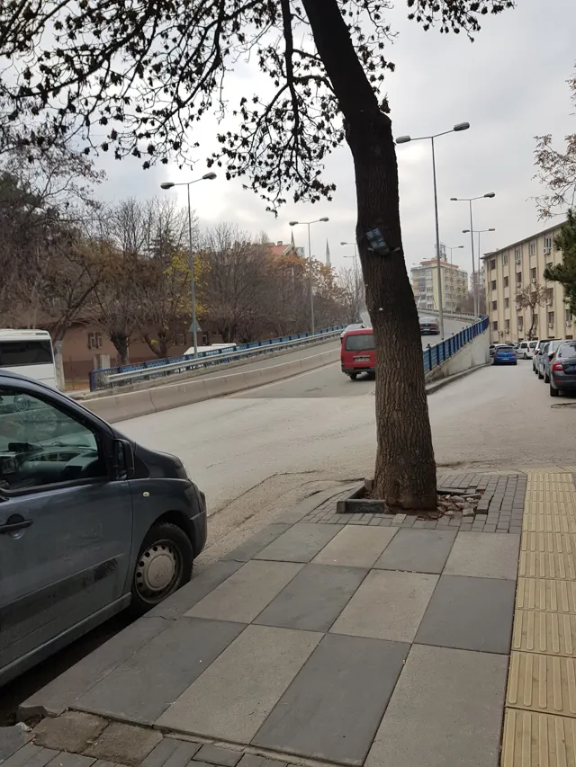 Aras Kargo Necatibey Şubesi