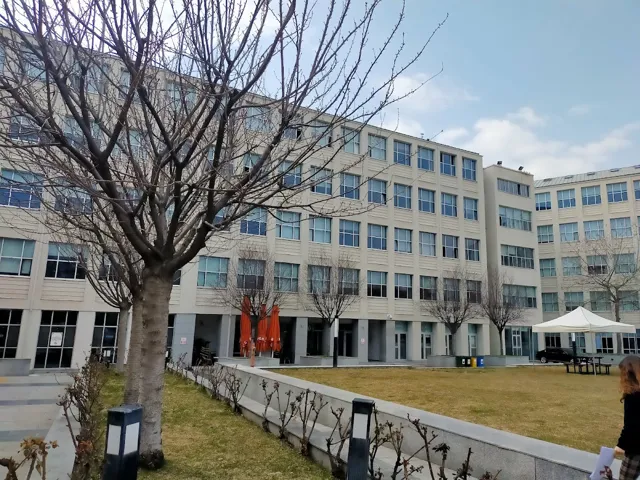 TED Üniversitesi